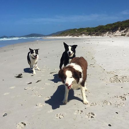 Sandpiper Ocean Cottages Bicheno Eksteriør bilde