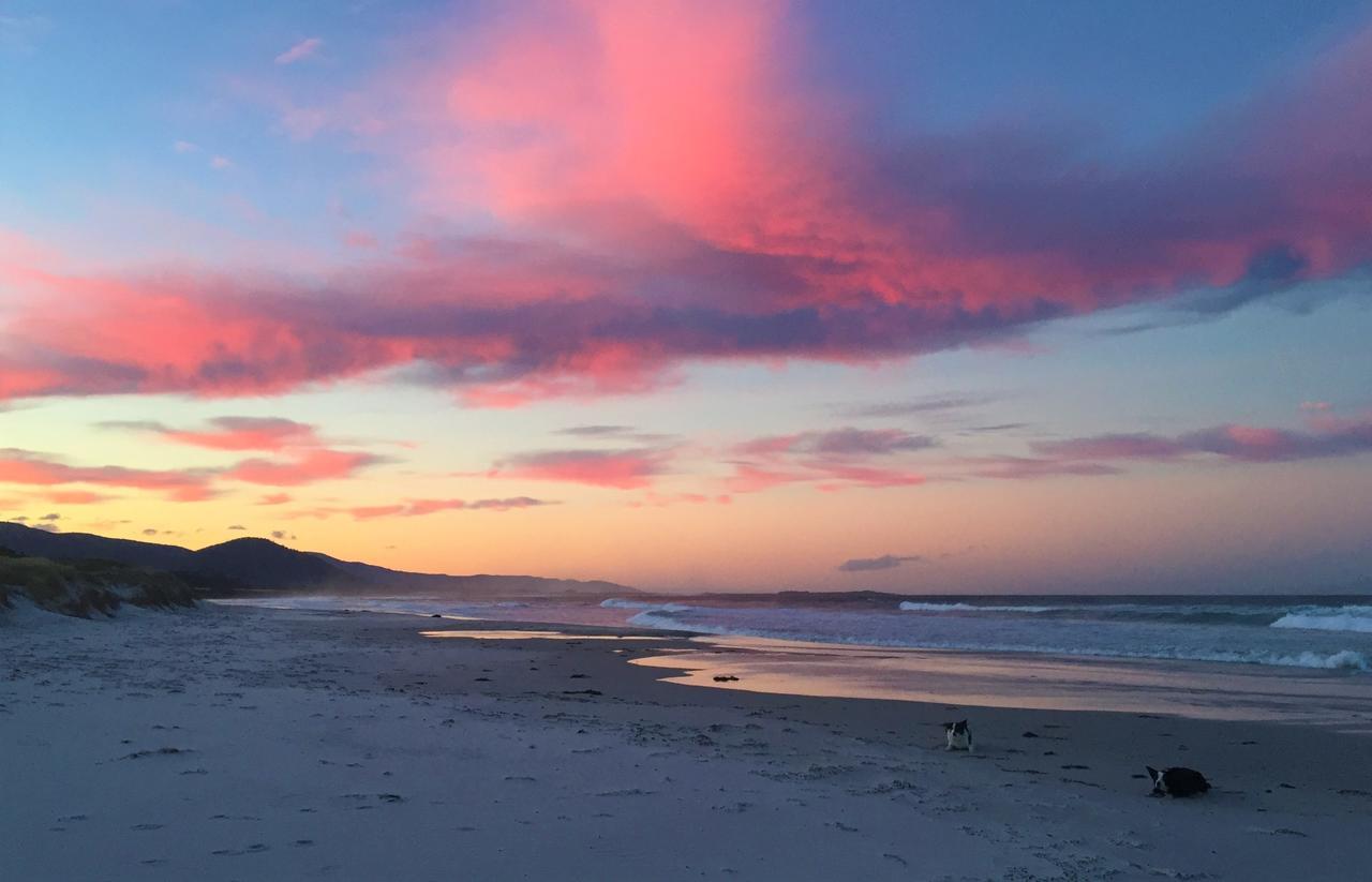 Sandpiper Ocean Cottages Bicheno Eksteriør bilde