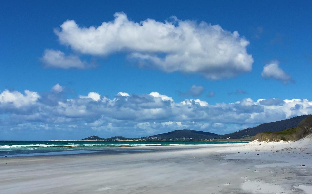 Sandpiper Ocean Cottages Bicheno Eksteriør bilde